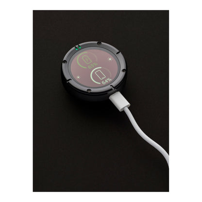 Beeline Moto II Anniversary Edition